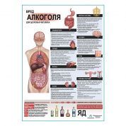 Вред алкоголя для здоровья плакат глянцевый А1+/А2+