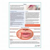 Заеды медицинский плакат А1/A2