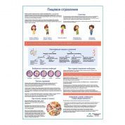 Пищевое отравление, медицинский плакат А1+/А2+