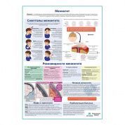 Менингит медицинский плакат А1/A2