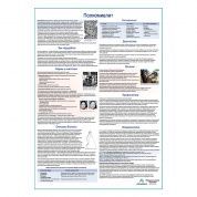 Полиомиелит медицинский плакат А1+/A2+