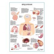 Вред курения плакат глянцевый А1/А2