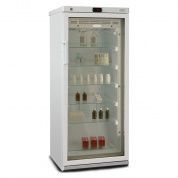 Шкаф Бирюса 250S-G медицинский для хранения лекарственных средств