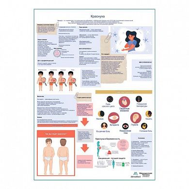 Краснуха, медицинский плакат А1+/A2+