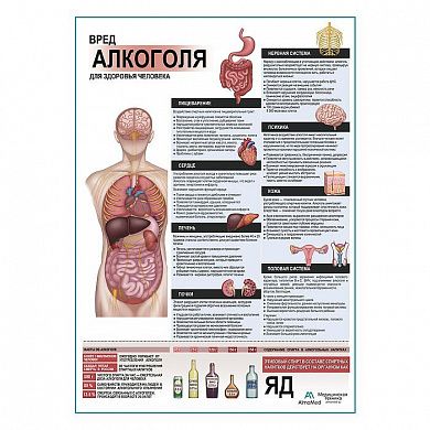 Вред алкоголя для здоровья плакат глянцевый А1+/А2+