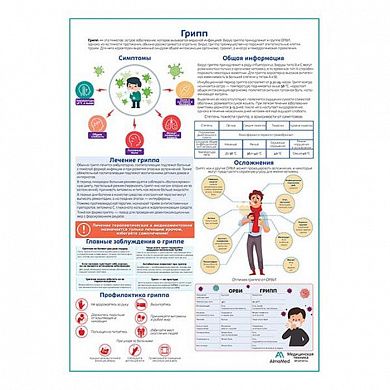 Грипп медицинский плакат А1/A2