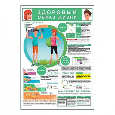 ЗОЖ гигиена спорт питание плакат глянцевый А1/А2