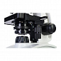 Микроскоп Levenhuk Discovery Atto Polar с книгой