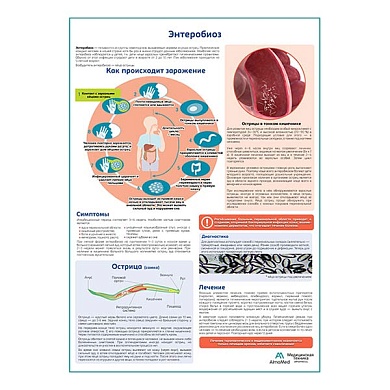 Энтеробиоз (острицы) медицинский плакат А1/A2