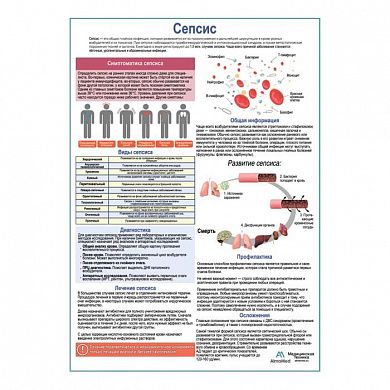 Сепсис, медицинский плакат А1+/А2+