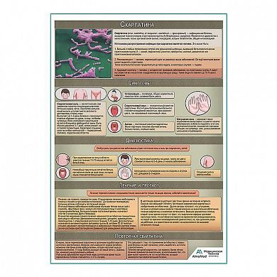 Скарлатина медицинский плакат А1+/A2+
