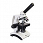Микроскоп Levenhuk Discovery Atto Polar с книгой