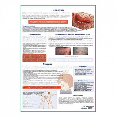 Чесотка медицинский плакат А1/A2