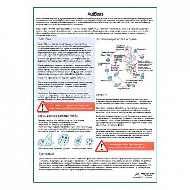 Амебиаз медицинский плакат А1+/A2+