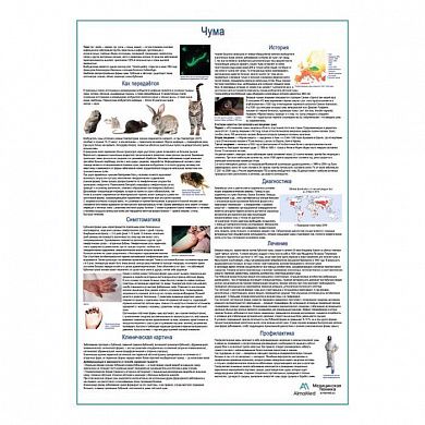 Чума, медицинский плакат А1+/А2+