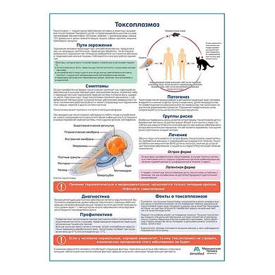 Токсоплазмоз медицинский плакат А1/A2