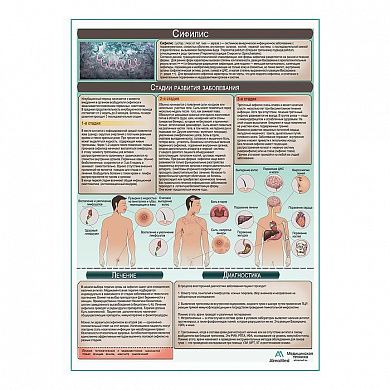 Сифилис медицинский плакат А1+/A2+
