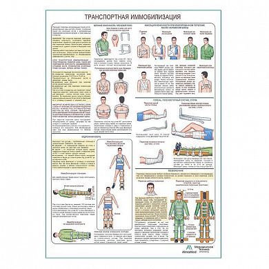 Транспортная иммобилизация, плакат глянцевый А1+/А2+