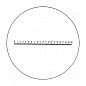 Стекло сменное со шкалой измерения для луп Precision scale magnifiers